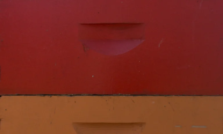 569fe0_2f37e66230c8402296a5c8cc28adaeff~mv2_d_2000_3000_s_2